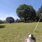 両国ずんだぱんだ物語