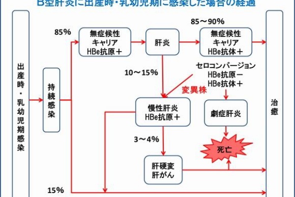 サラリーマンのb型肝炎闘病記