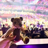 『[イコラブ] 『＝LOVE 9周年コンサート Day1』指原Pとしのぶさん観覧』の画像
