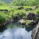 新見温泉