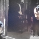 茨木市産材、納品しました ②