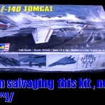 Go Navy! (乙)