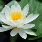 中杉　弘のブログ