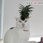 裏つるきち