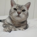くるみの物語２