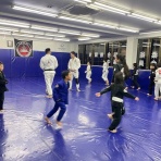 ブルテリア格闘技ジムｘボンサイ柔術浜松ブログ