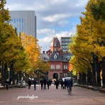 わんこの写真と気ままな日記！