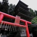 弥彦神社、酒呑童子神社