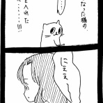 ﾈｺﾁｬﾝのﾆﾝｹﾞﾝ育成日記