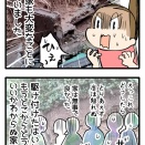 災害ボランティアさん達に感謝