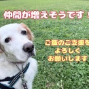 ご支援のお願いです