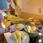 わんこーる速報！