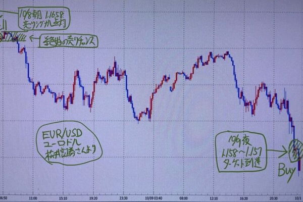為替王 - 秘伝チャート、売買ジャッジ、投資マニュアル