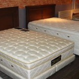 ��̲��ϵ�ˤ�THE FRANCBED�٤β���
