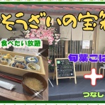 やじきたの食べたい放題！