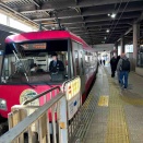 豪徳寺　…   ⁉️