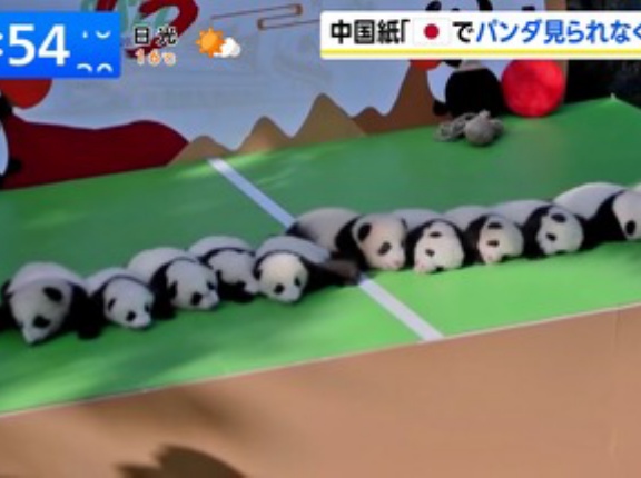 中国メディア｢中日間の緊張が続けば日本はパンダがいなくなる状況に直面するだろう｣上野動物園のパンダは来年2月に返還期限迎える