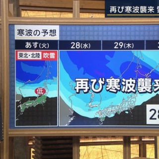 激烈！女子アナニュース