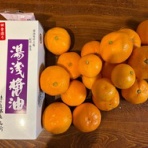 カメハウス 卓球家族