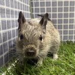 かねだい足立店ブログ