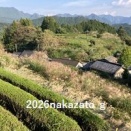 奥三河を走りました　2/2　（愛知県豊根村・設楽町ほか）