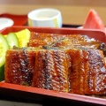 衝撃！価格破壊!?清みず土筆（月岡店）で1500円でうな重!?