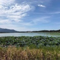 今週末に新潟市で開催される『イベント』まとめてみた。8月22日～23日。