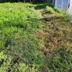 医食同源里山日記