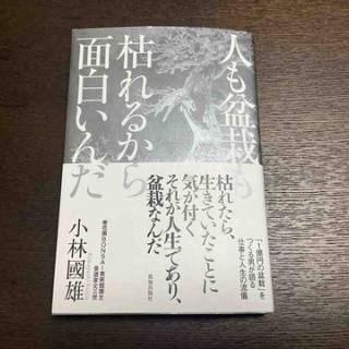 雨竹 盆栽 水石 便り