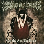 Black Metal Wanderer