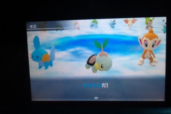 トロの日記 Game Main ポケモン超不思議ダンジョン