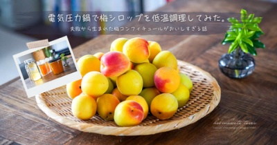 電気圧力鍋で梅シロップを低温調理してみた。