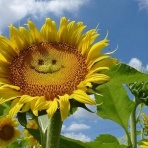 36歳元派遣OLどん底借金350万から人生やり直すブログ