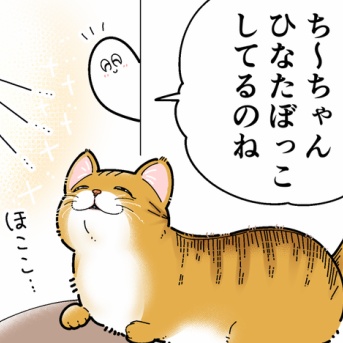 日に当たる美猫