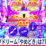 亮磁極回胴夫婦記
