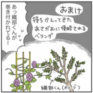 不安すぎる夏休みが始まりました