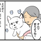 🐶私からちーちゃんへ🐾✉️大切な妹でパートナーのちーちゃん。