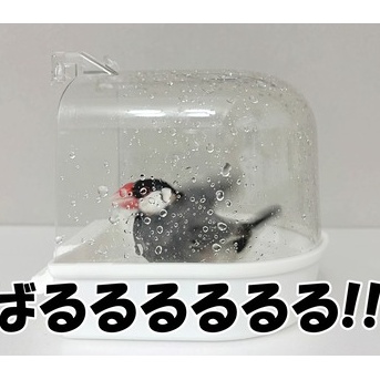 ぼくは世帯主だから