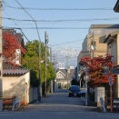 2025/11/12 晩秋・晴天・午後後半に街中から望む立山連峰ニ景