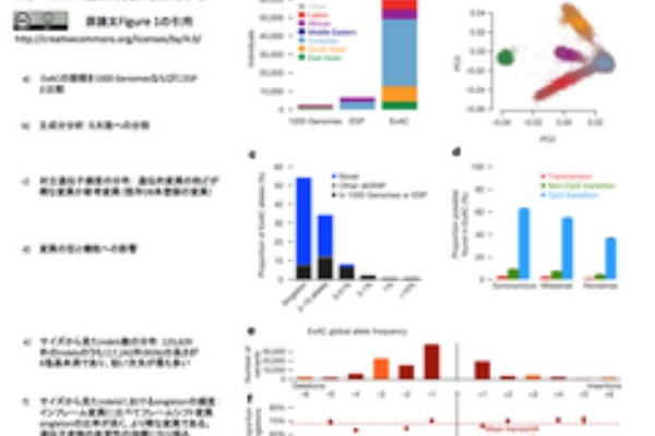 Crisp Bio 精密医療