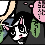 『みんなでゲーム中に犬が出す音が気になる』の画像