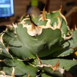 �إ����١������Υ�����ߡ٤β���