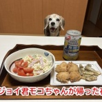 ガオだらけな日々　