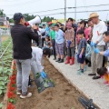 【御礼】雨上がりの畑に笑顔が咲きました！さつまいも苗植え体験会、無事開催！