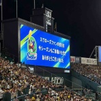 全国ツバメ軍団日誌！