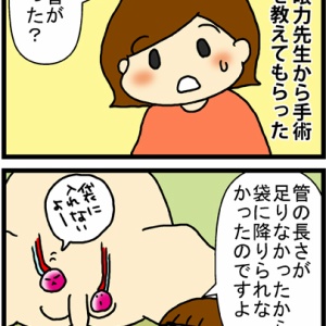 停留睾丸入院その３ あぁ トマコの生きる道 Powered By ライブドアブログ