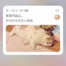 ー 天下泰平 ー