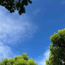 8月5日(水) (^O^)／