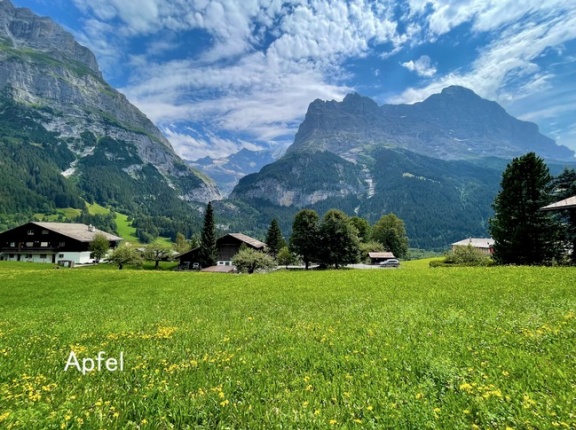 アルプス最高！グリンデルワルト🇨🇭