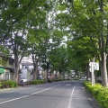 坂道散歩（新八柱駅→高柳駅）